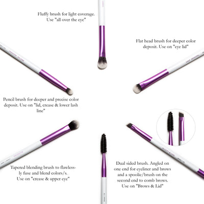 Instructional Eye Brush Kit